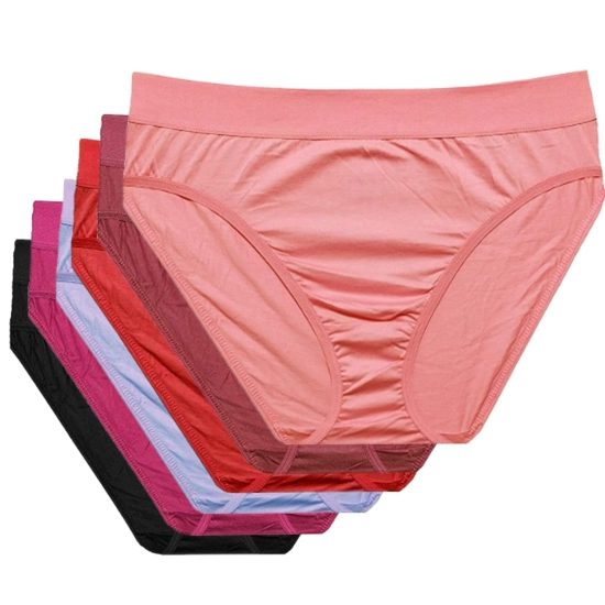 Women's Plus Size High Waist Panties